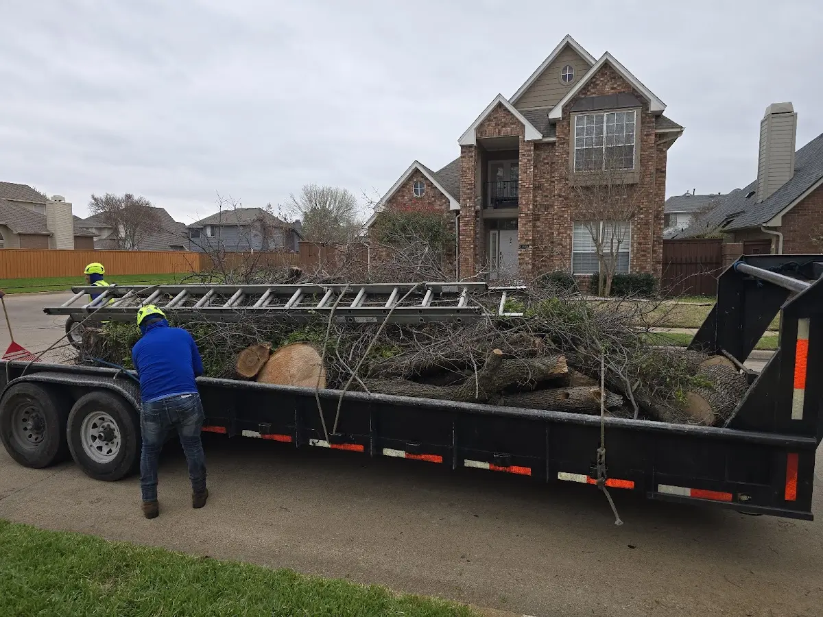 Expert Tree Fertilization with proper safety equipment in Charleston